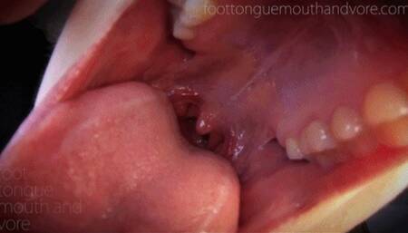 Hannah's Vore Compilation