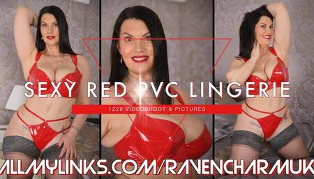 1229 Sexy Red PVC Lingerie