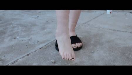 YT2425 Summer should be like summer