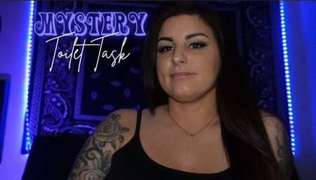 Mystery Toilet Task