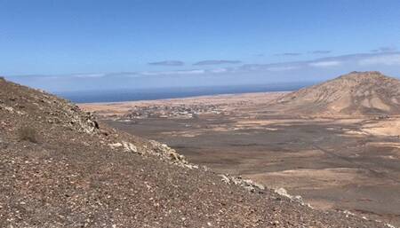 public blowjob from stranger girl and doggy sex