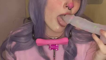 How To Train Your Pup!