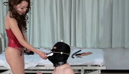 Human Pet Specialty Discovery Session! - Part 3