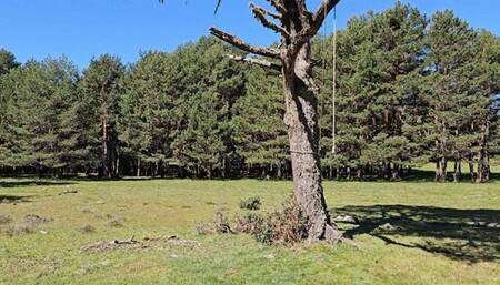 Bullwhip inferno in The Spanish Sierra by Madame Catarina and Goddess Milah FULL VERSION