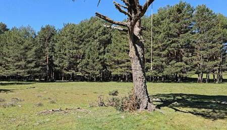 Bullwhipping infierno in the Spanish Sierra by Madame Catarina and Goddess Milah part 1