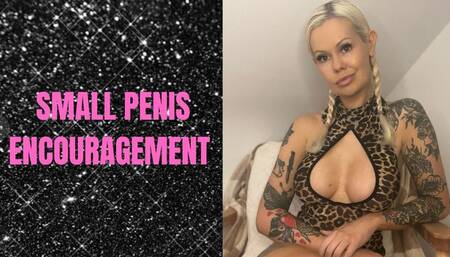 Small Penis Encouragement