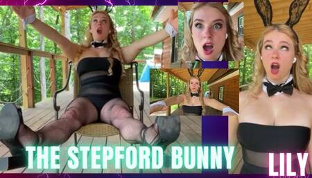 Lily: The Stepford Bunny
