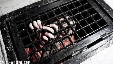 Bitch Bride 13 - punished in her oubliette