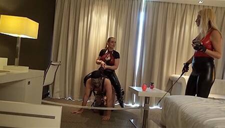 Ponyboys Obstacle Course - 1 - HD