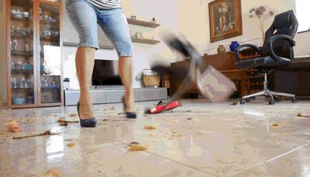 Mess in the house AVI (1920x1080) FHD