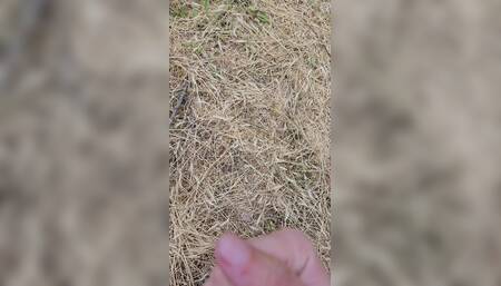 Cum in the Fields