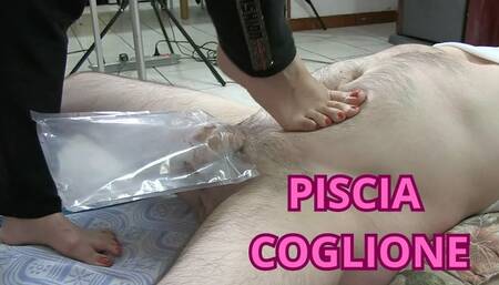PISCIA LURIDO COGLIONE