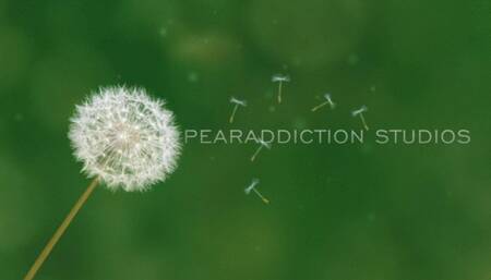 Busting Out On The Playground