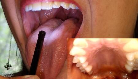 Mouth tour double cam