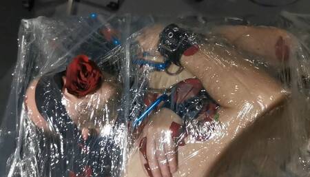 Session Impression with Pingu (WMV)