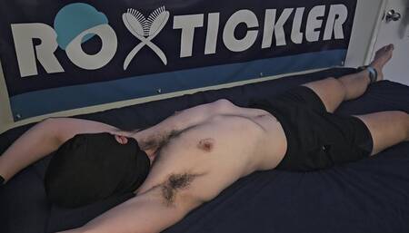 House Of Rox: Braiden