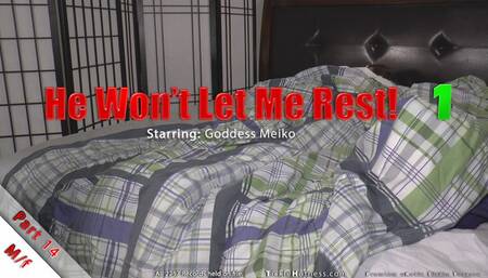 He Won't Let Me Rest! Part 14 - Goddess Meiko