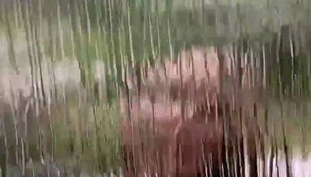 Uninvited vixen ties you up