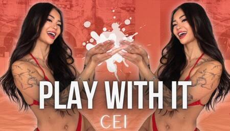 Play With It CEI