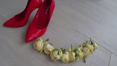 I crushed a lot of roses with red shoes b