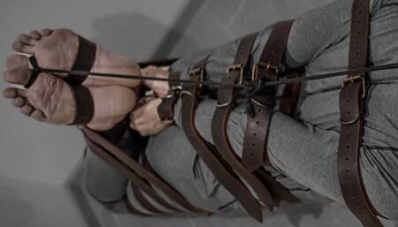 Hogtied with a lot of belts