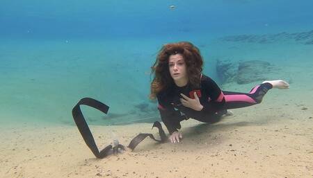 Springs Day Turned Disaster 1080p