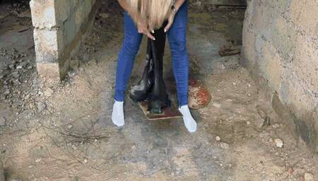 Stuck Jeanette: Adventures in the Old HouseWMV