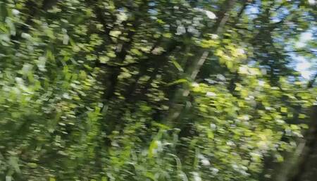 Outdoor Piss & Indoor piss