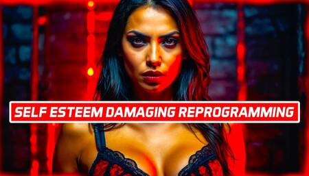 Self Esteem DAMAGING Psychological Reprogramming