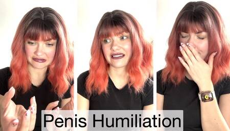 Penis Humiliation