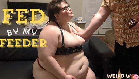 Fed By My Feeder - WMV