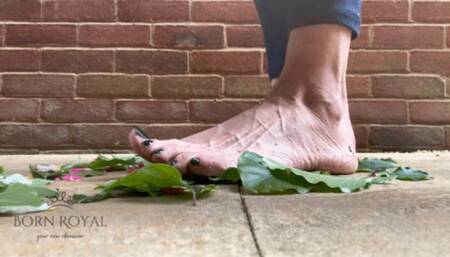 Giantess crushes leaves