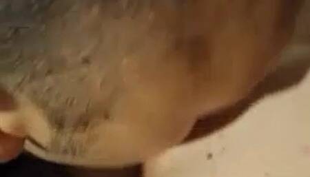 KINKYmarisol blowjob,cumshot