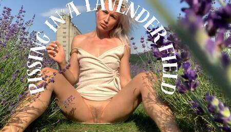 Lavender Hanging