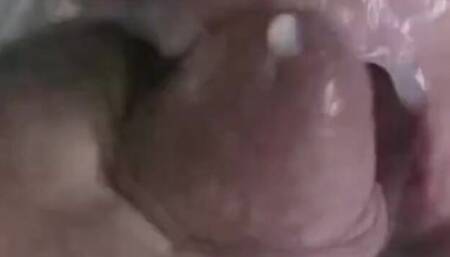 Wicked Sexy Melanie - milf smut