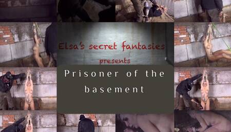 Prisoner of the basement (FHD)