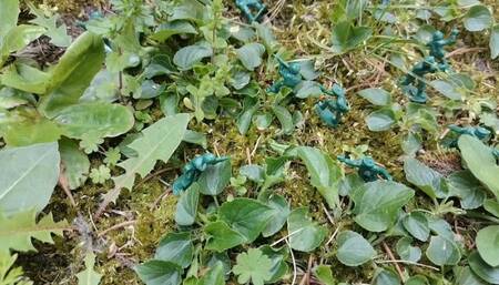 The Italian giantess against the toy soldiers in the forest 1080HD