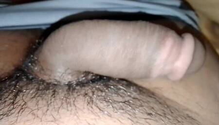 Soft Indian Penis