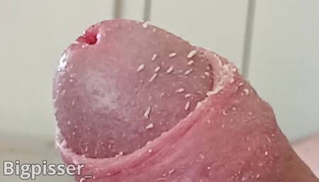 Bigpisser Smegmacock Closeup of Uncut Penis