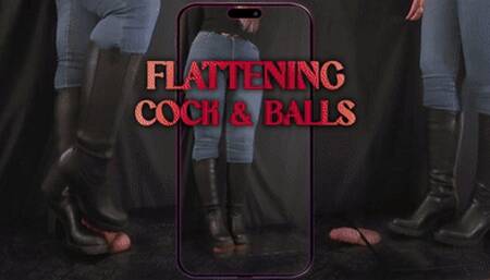 Secretary Flattening Cock and Balls, Plexiglass and Black Heels - (Vertical Version) - TamyStarly - Trample, Crushing, Crush, Bootjob, Ballbusting, CBT, Shoejob, Riding, Stomp