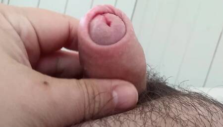A Small Bundle of Naughty Vids of Daddy.