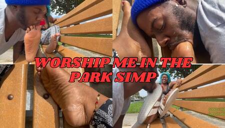 Worship me in the park simp Goddess Reign makes loser lick her shoes clean while spitting in his face