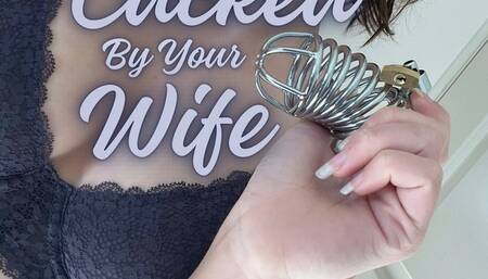 Cucked By Your Wife