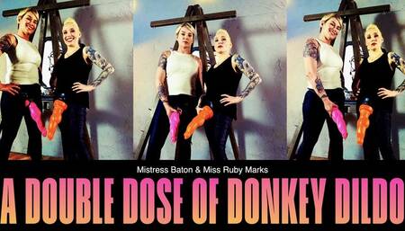 A Double Dose Of Donkey Dildo HD for QT