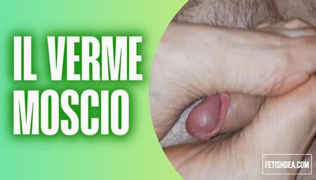 il verme moscio