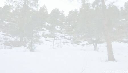 The Elusive Snow Bunny