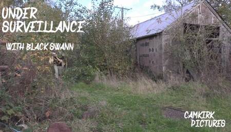 Under Surveillance with BlackSwann