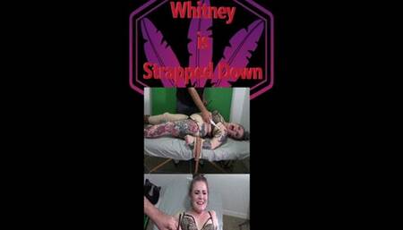 Whitney is Strapped Down Dual Cam WMV