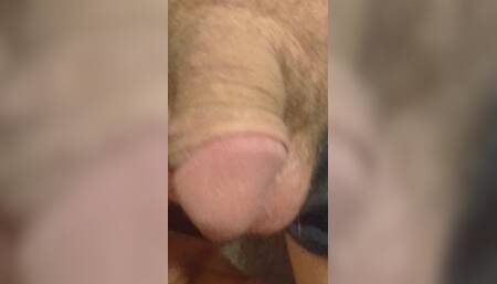 My Dicks