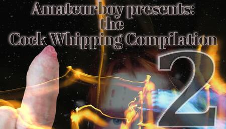 Amateurboy Presents the Cock Whipping Compilation Part 2